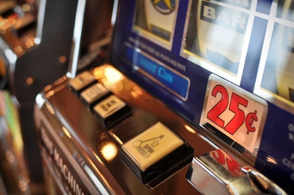 Tournament leaderboard display